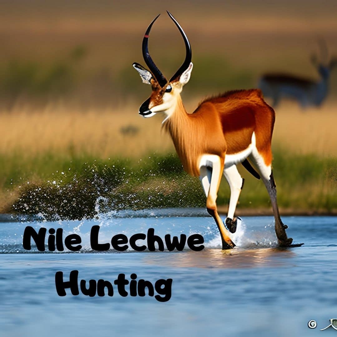 nile lechwe hunting