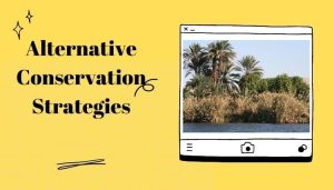 Alternative Conservation Strategies

