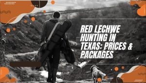Red Lechwe Hunting in Texas Prices & Packages