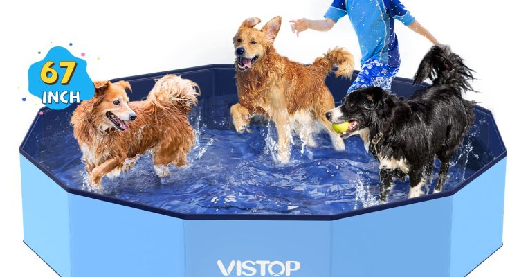 VISTOP Foldable Dog Pool Review