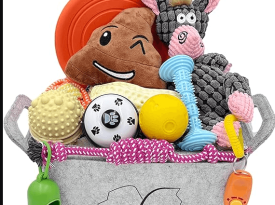 Best Puppy Toys for Teething: Soothing Options for Your Cute Baby Dog