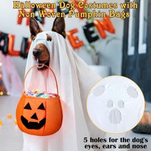 ghostly-charms-a-review-of-halloween-costumes-for-dogs