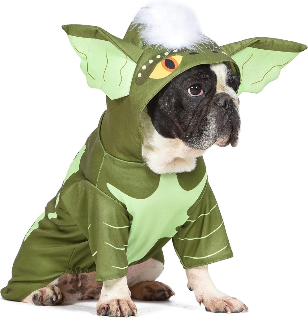 Warner Bros Horror Gremlins Halloween Costume for Dogs with Hood – Size Medium | Dog Costumes, Cute Pet Scary Costumes Dogs| Officially Licensed Products, Green (FF21797)